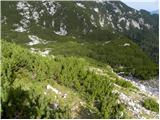 Planina Ravne - Kocbekov dom na Korošici